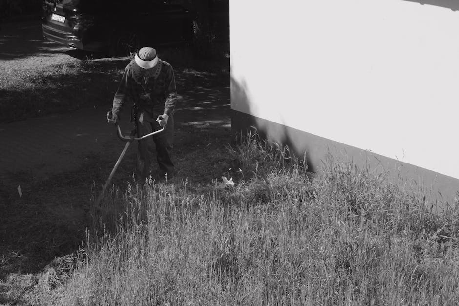 Black and white image of a gardener in overalls trimming grass with a string trimmer.